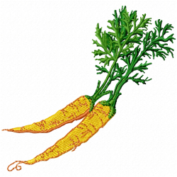 Carrot Embroidery Design 8 Carrot Embroidery Design 8
